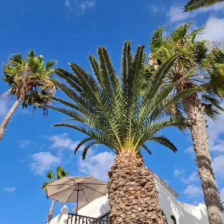 Simon And Ami Aparments Daire *