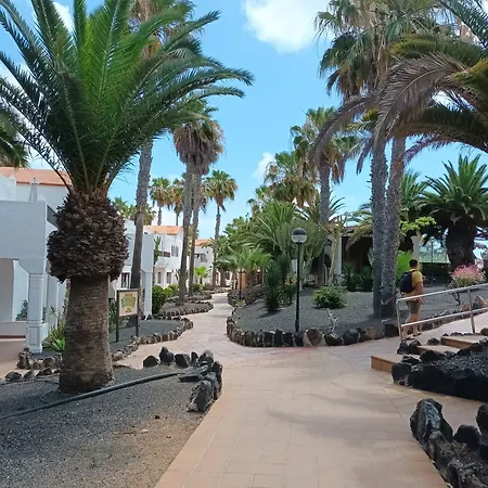 Simon And Ami Aparments