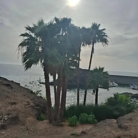 Simon And Ami Aparments アパート