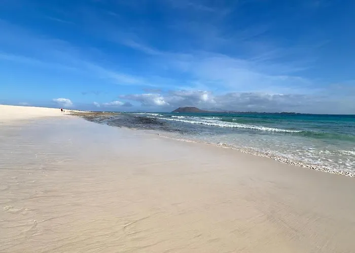 Simon And Ami Aparments コラレホ