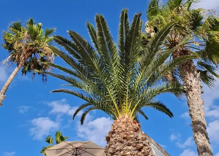 Simon And Ami Aparments Appartamento *