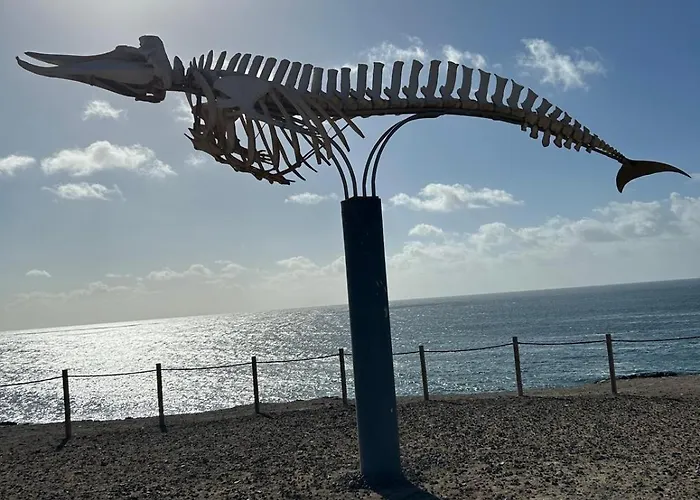 Simon And Ami Aparments Appartamento *