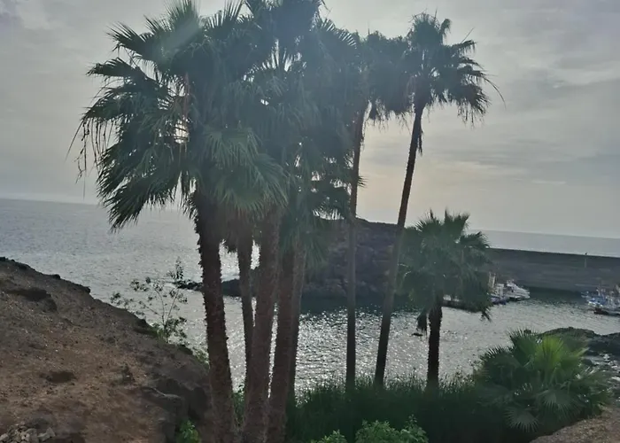 Simon And Ami Aparments アパート