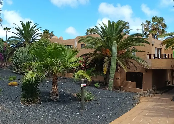 Simon And Ami Aparments Corralejo