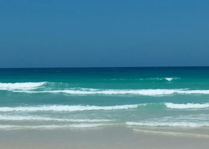 Apartmán Simon And Ami Aparments